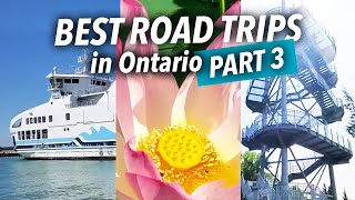 7 MOST UNDERRATED ROAD TRIPS IN ONTARIO PART 3 ESSEX COUNTY PELEE ISLAND amp SARNIA [upl. by Hibbitts804]