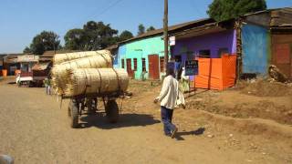 Road Trip to Negele Ethiopia III [upl. by Acinelav146]