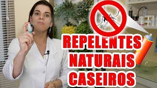 REPELENTES de INSETOS Naturais Caseiros  100 EFICAZ [upl. by Yerffej]