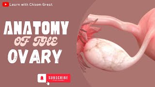 ANATOMY OF THE OVARY [upl. by Ogilvy988]