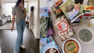 VLOG back in my apartment  trader joes grocery haul [upl. by Arlena]