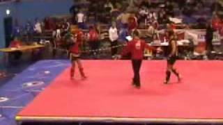 kickboxing vs tang lang quan [upl. by Bridgette]