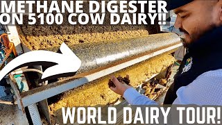 Manure Management and Methane Gas Collection on 5100 Cow Dairy Part2 [upl. by Nithsa]