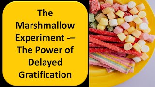 The Marshmallow Experiment  The Power of Delayed Gratification [upl. by Lunsford]