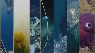 Best of the EV Nautilus 2016 Expedition  Nautilus Live [upl. by Shank]