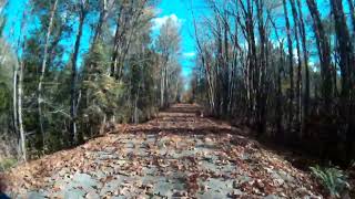 Fall E Bike on the Cowichan Valley Trail [upl. by Etnauq]