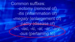 Med Term 2 Roots prefixes suffixes [upl. by Nnaeirb]