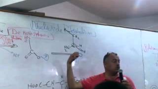 13 Pyrimidine Synthesis [upl. by Wylde]