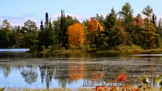 LEO ROJAS COLORFUL AUTUMN Pan Flute [upl. by Aillicsirp]