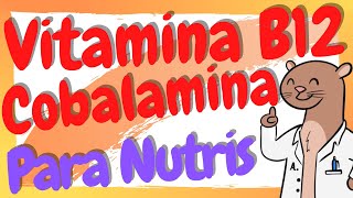 ¿Qué es la Cobalamina  Vitamina B12 en Nutrición [upl. by Ittak]