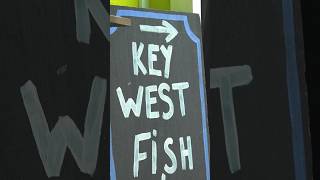 Spearfishing KEY WEST FL [upl. by Lanaj]