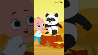 Panda Song for Kids  Bamboo Sky Nursery Rhymes  Adorable SingAlong Childrens Music [upl. by Terrab]