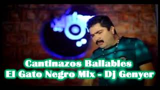 Cantinazos Bailables El Gato Negro Mix  Dj Genyer [upl. by Landan669]