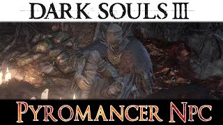 Dark Souls 3  NPC Cornyx Della Grande Palude Mercante Piromanzie [upl. by Aytida]