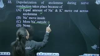 Depolarization of axolemma during nerve conduction takes place because of [upl. by Einahpats556]