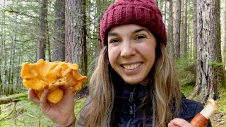 Wild Chanterelle Mushroom Hunting  The Best Way to Cook Chanterelles  Foraging in the PNW [upl. by Nalon]