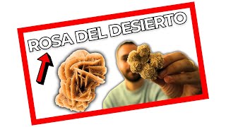 🔴 NO LA COMPRES 🔴  ROSA DEL DESIERTO  Unboxing de Minerales del Mundo [upl. by Nnylirehs]