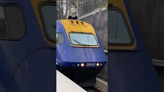 Grafton XPT passing Epping sydneytrains train railway nswtrainlink shorts [upl. by Nylhsoj987]