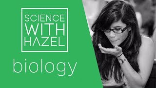 Plant and Animal Cells  GCSE Biology Revision  SCIENCE WITH HAZEL [upl. by Ardnaxela]