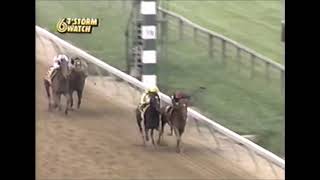 Easy Goer and Sunday Silence the Greatest Single Year Rivalry 30 Years Later [upl. by Serena]