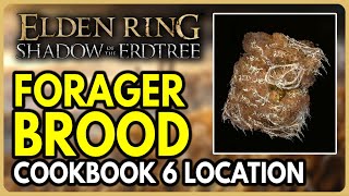 Forager Brood Cookbook 6 Location  Elden Ring Shadow of the Erdtree DLC [upl. by Leorsiy221]