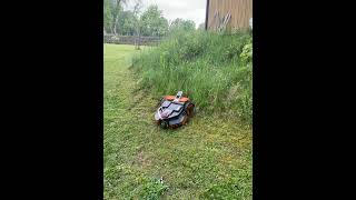 Worx Landroid vision high grass problem 1 [upl. by Norean]