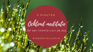 Ochtend meditatie  Zet een intentie voor de dag  Yoga met Willemijn [upl. by Averell929]