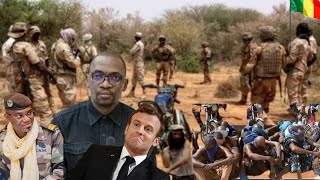 Abdoul Niang parle sur les forces armées de l’AESles terrorstes en difficulté Malicomplt [upl. by Eilatan]