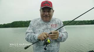 Lews x Wally Marshall Pro Target Rod Series for Crappie Fishing [upl. by Ykcub793]