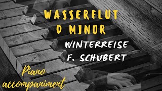 Wasserflut D minor KARAOKE Piano accompaniment Winterreise [upl. by Sandy]