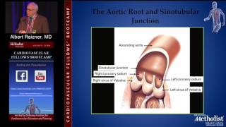 Coronary Angiography Albert Raizner MD Saturday August 20 2016 [upl. by Isewk463]