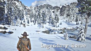 RDR2  Chapter 2  Episode 29  How to Get Legendary Horse [upl. by Allets]