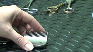 Pet Grooming Hand Tools for the DoItYourself Dog Groomer [upl. by Isyad]