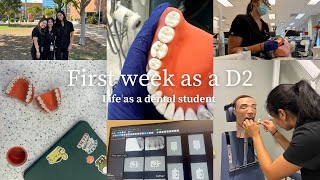 My first week as a second year dental student [upl. by Ligriv]