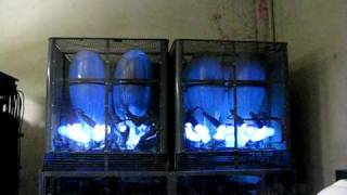 Mercury Arc Rectifier [upl. by Yeruoc]