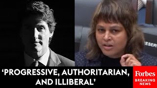 JUST IN Journalist Warns Of Creepy Authoritarianism In Canada At Weaponization Committee [upl. by Giulietta]