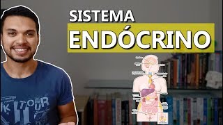 Introdução ao Sistema Endócrino Endócrino 01 [upl. by Nalaf359]