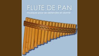 Flute de pan [upl. by Amiel265]