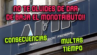 Baja MONOTRIBUTO ¿Cuando puedo volver Consecuencias si no lo haces correctamente [upl. by Ynnoj]