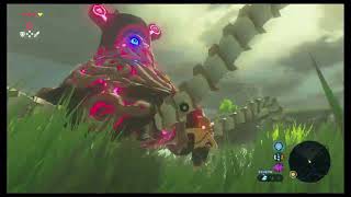 quot302quot Guard Savage Lynel Shield vs Guardian  IST  Breath of the Wild [upl. by Allcot]