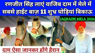 रणजीत जी देंगे वाजिब दाम में मेले की सबसे हाईट बाज़ 11 घोड़ियां बिकाऊ। Jagraon horse Mela 2024। [upl. by Camilla]