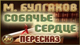 Собачье сердце Михаил Булгаков [upl. by Normak822]