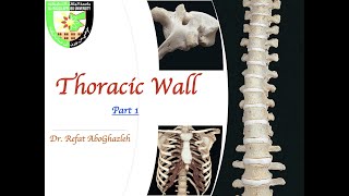 Anatomy of Thoracic Wall Part 1 Full Lecture [upl. by Lillywhite]