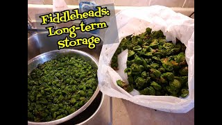 How to Store Fiddleheads [upl. by Aridan]