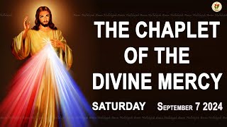 Chaplet of the Divine Mercy I Saturday September 7 2024 I Divine Mercy Prayer I 1200 PM [upl. by Joo]