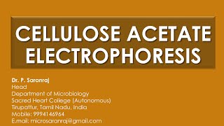 Cellulose Acetate Electrophoresis [upl. by Lletniuq]