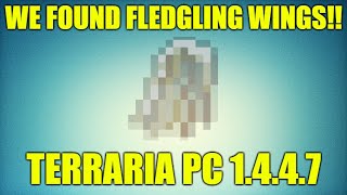 Rare Fledgling Wings Seed Found Terraria PC 1447 [upl. by Adimra]