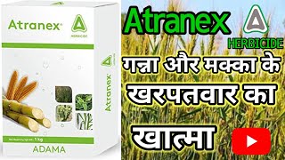 Atranex Herbicide Atrazine 50  की पूरी जानकारी farming agriculture youtube kheti fungicide [upl. by Bekelja25]