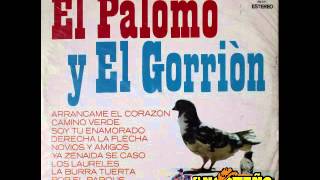 EL PALOMO Y EL GORRION DERECHA LA FLECHA [upl. by Ellord]