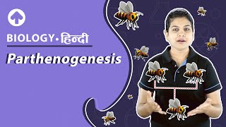 Parthenogenesis  पार्थेनोजेनेसिस  Biology [upl. by Lizabeth]